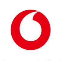 Castle Lager - Executive Head Finance, Vodacom